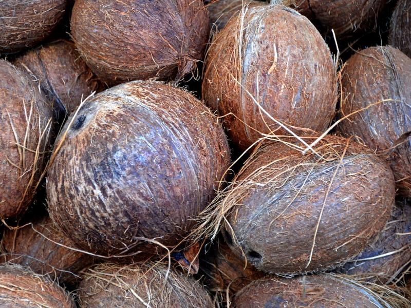 kokos plod